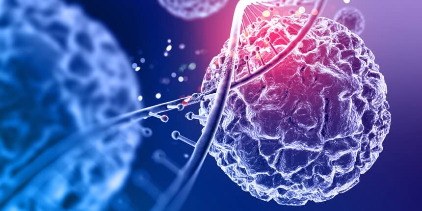 Jak2 and Myelofibrosis